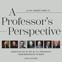 bokomslag A Professor's Perspective