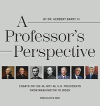 bokomslag A Professor's Perspective