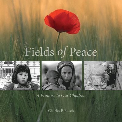 Fields of Peace 1