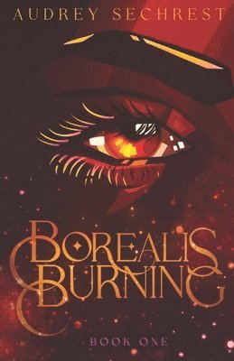 bokomslag Borealis Burning