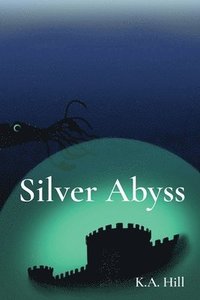 bokomslag Silver Abyss