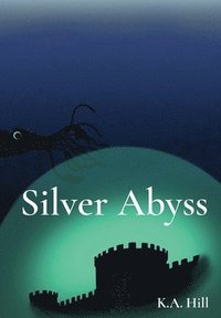 bokomslag Silver Abyss