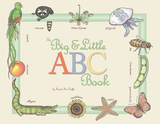 Sandra Ure Griffin - Big and Little ABC, Häftad