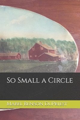 bokomslag So Small a Circle