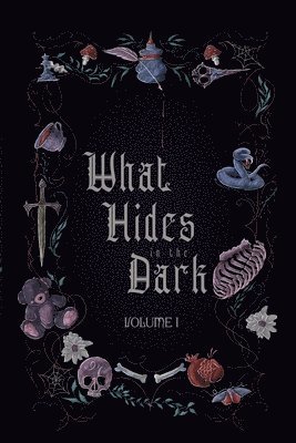 What Hides in the Dark