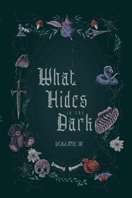 What Hides in the Dark