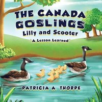 bokomslag The Canada Goslings