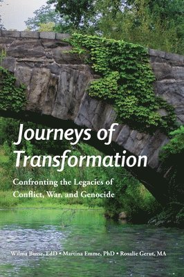 bokomslag Journeys of Transformation