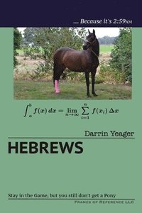 bokomslag Hebrews