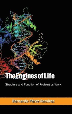 The Engines of Life 1