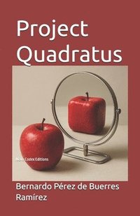 bokomslag Project Quadratus