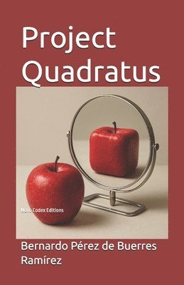 bokomslag Project Quadratus