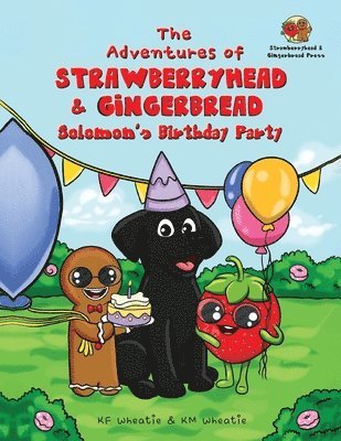 Adventures of Strawberryhead & Gingerbread-Solomon's Birthday Party