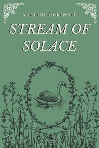 bokomslag Stream of Solace