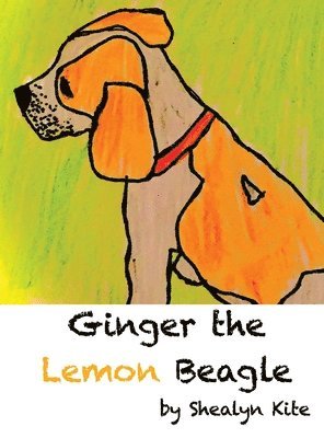 Ginger the Lemon Beagle 1