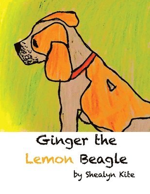 Ginger the Lemon Beagle 1