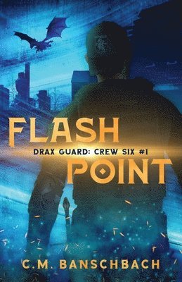 bokomslag Flashpoint