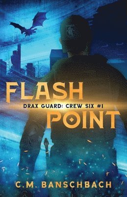 bokomslag Flashpoint