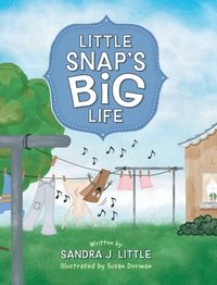 bokomslag Little Snap's Big Life