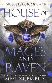 bokomslag House of Mages and Raven