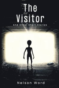 bokomslag The Visitor