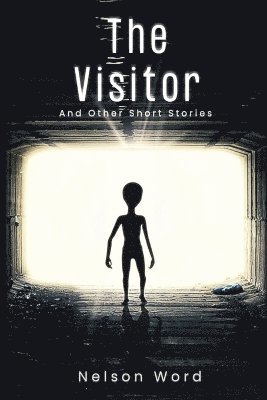 The Visitor 1