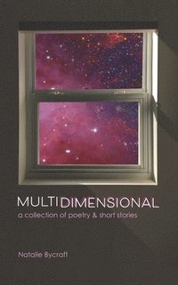 bokomslag Multidimensional