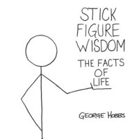 bokomslag Stick Figure Wisdom