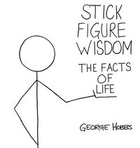 bokomslag Stick Figure Wisdom The Facts of Life