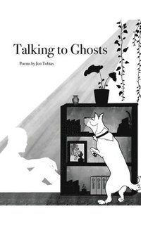 bokomslag Talking to Ghosts