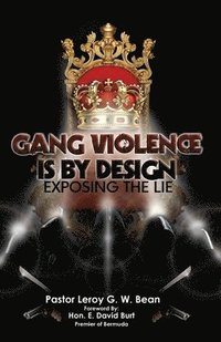 bokomslag Gang Violence Is by Design