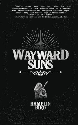 Hamelin Bird - Wayward Suns, Häftad