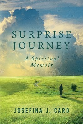 Surprise Journey 1