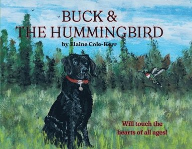 bokomslag Buck & The Hummingbird