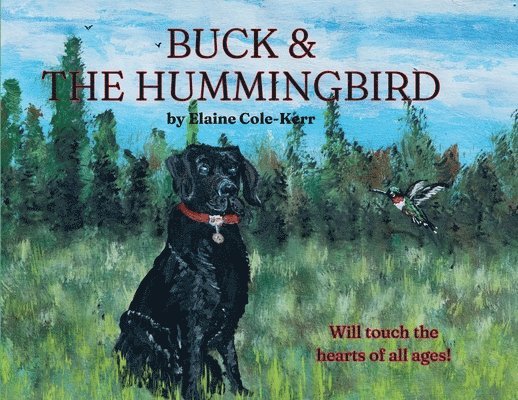 Buck & The Hummingbird 1