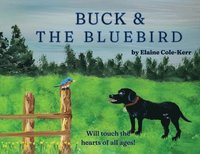 bokomslag Buck and The Bluebird