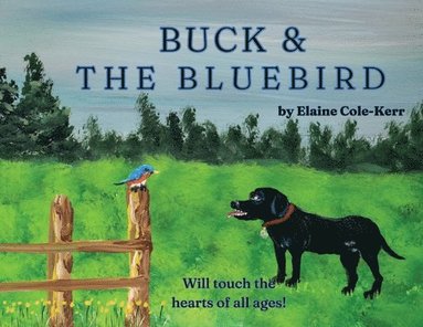 bokomslag Buck and The Bluebird
