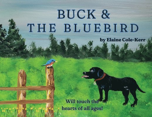 Elaine Cole-Kerr - Buck and The Bluebird, Häftad