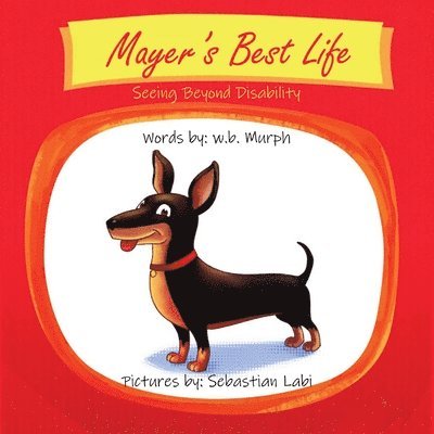 Mayer's Best Life 1