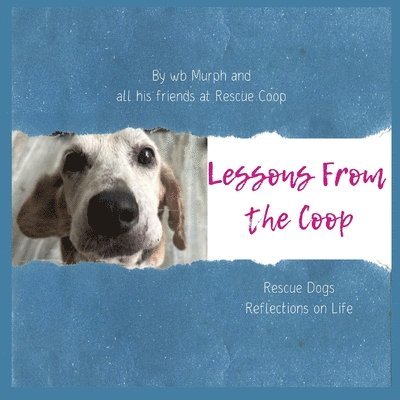 Lessons from the Coop 1