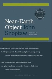 bokomslag Near-Earth Object