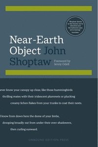 bokomslag Shoptaw, J: Near-Earth Object