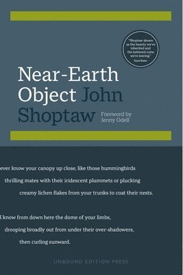 Near-Earth Object 1