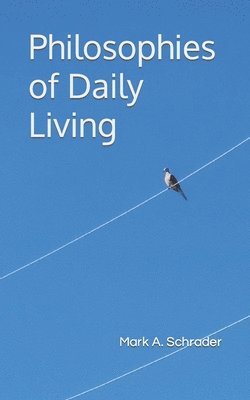 bokomslag Philosophies of Daily Living