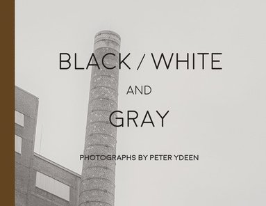 bokomslag Black White and Gray