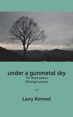 bokomslag under a gunmetal sky