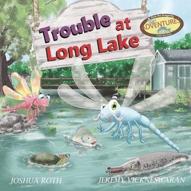 bokomslag Trouble At Long Lake