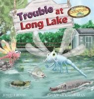 bokomslag Trouble At Long Lake