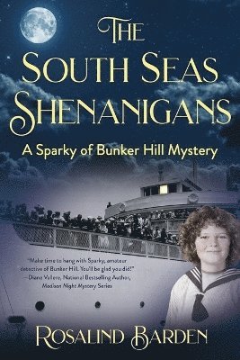 bokomslag South Seas Shenanigans