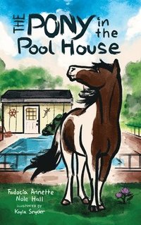 bokomslag The Pony in the Pool House